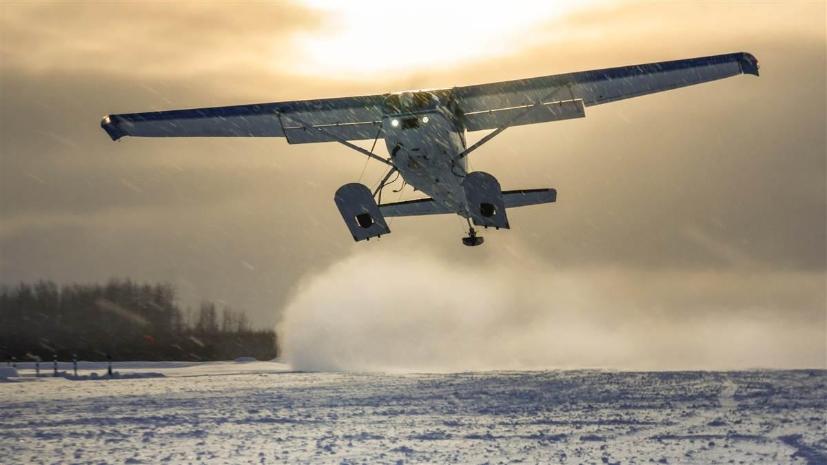 Wings of the Iditarod