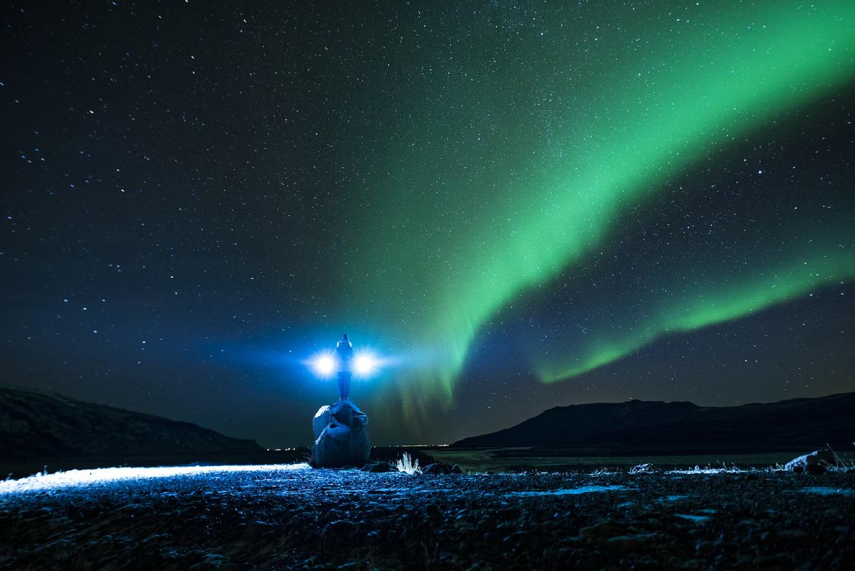 Flying In Wild Alaska